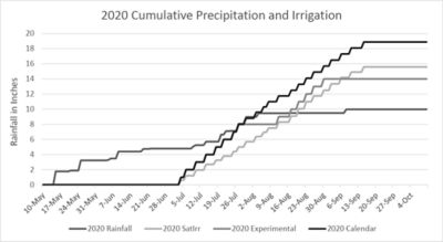Figure 2: Irrigation totals were high for all three irrigation strategies in 2020 